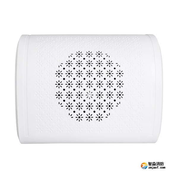 海灣HY6253壁掛揚聲器