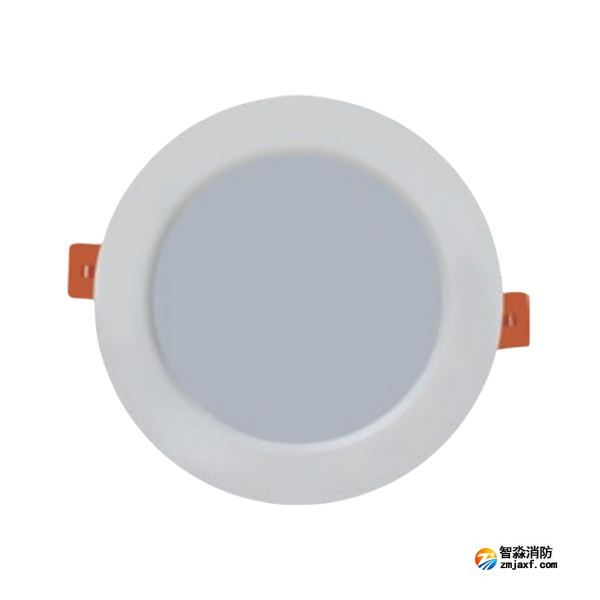 海灣HW-ZFJC-E3W-VN650應急照明燈